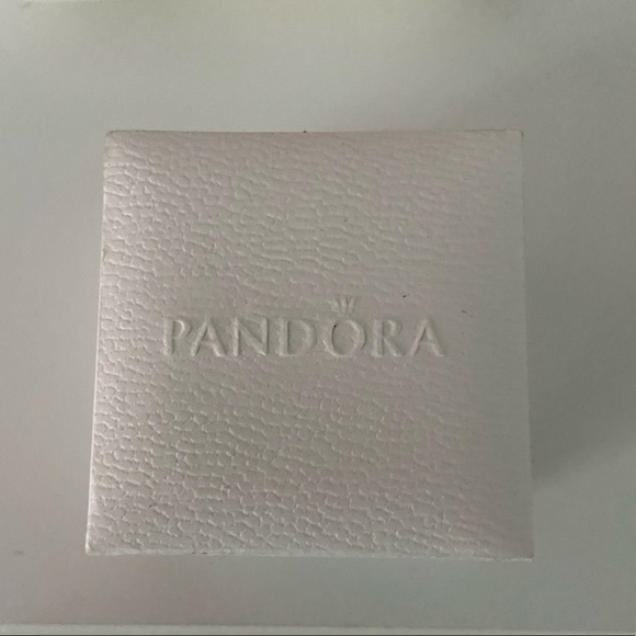 Pandora Charms with box - Picture 2 of 4